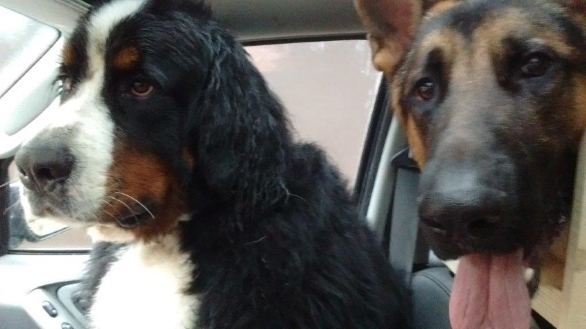 Let Us Out, Already!